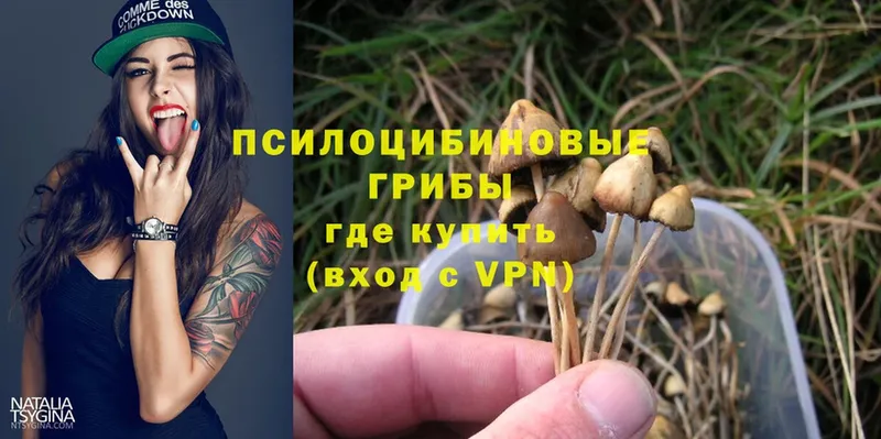 Галлюциногенные грибы MAGIC MUSHROOMS Заполярный